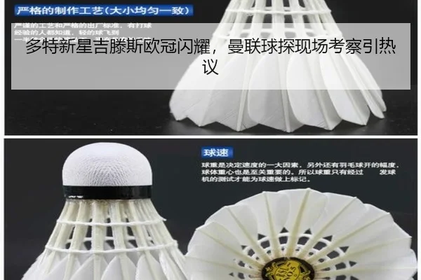 duo-te-xin-xing-ji-teng-si-ou-guan-shan-yao-man-lian-qiu-tan-xian-chang-kao-cha-yin-re-yi-2-475.jpg