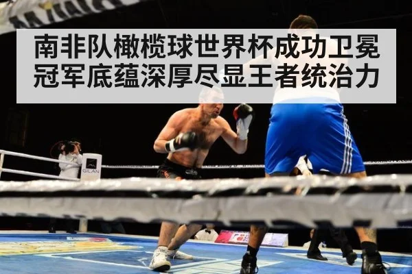 南非队橄榄球世界杯成功卫冕 冠军底蕴深厚尽显王者统治力